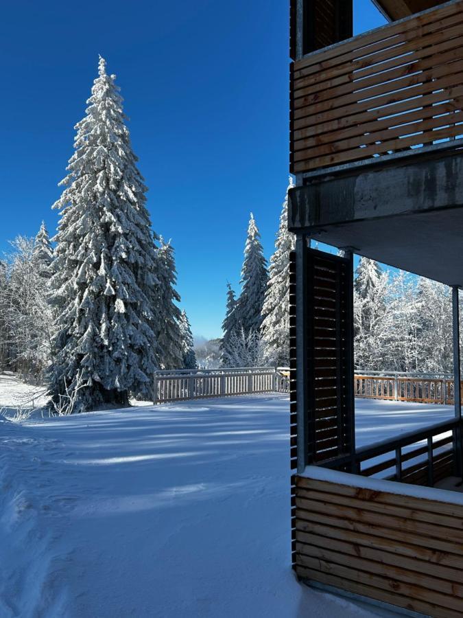 Feldberg Apartment - Direkt An Der Skipiste - Mit Sauna Exterior photo